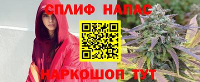 молекула духа Среднеуральск