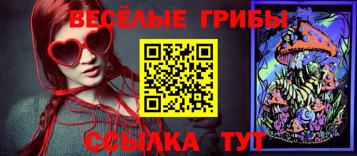 Псилоцибиновые грибы Cubensis Полысаево